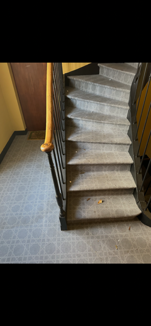 Sol parties communes immeuble